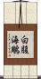 白腹海鵰 Scroll
