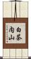 白茶内山 Scroll