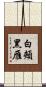 白頰黑雁 Scroll