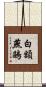 白額燕鷗 Scroll