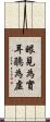 眼見為實，耳聽為虛 Scroll