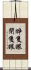 睜隻眼閉隻眼 Scroll