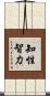 知性智力 Scroll