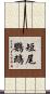 短尾鸚鵡 Scroll