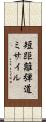短距離弾道ミサイル Scroll