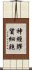 神經膠質細胞 Scroll