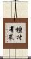 種村有菜 Scroll