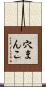 穴まんこ Scroll
