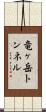 竜ヶ岳トンネル Scroll