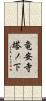 竜安寺塔ノ下 Scroll