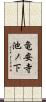 竜安寺池ノ下 Scroll