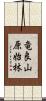 竜良山原始林 Scroll