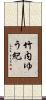 竹内ゆう紀 Scroll