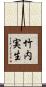 竹内実生 Scroll