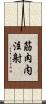 筋肉内注射 Scroll