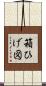 箱ひげ図 Scroll