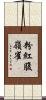 粉紅腹嶺雀 Scroll