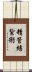 精管結紮術 Scroll