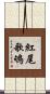 紅尾歌鴝 Scroll