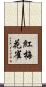 紅梅花雀 Scroll