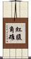 紅腹角雉 Scroll