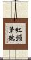 紅頸葦鵐 Scroll