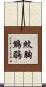 紋胸鷦鶥 Scroll