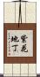 紫花地丁 Scroll