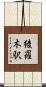 綾羅木駅 Scroll