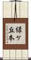 緑ケ丘本 Scroll