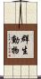 群生動物 Scroll