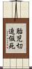 胎児切迫仮死 Scroll