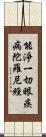 能淨一切眼疾病陀羅尼經 Scroll