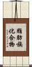 脂肪族化合物 Scroll