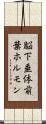 脳下垂体前葉ホルモン Scroll