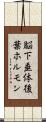 脳下垂体後葉ホルモン Scroll