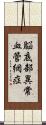 脳底部異常血管網症 Scroll