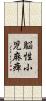 脳性小児麻痺 Scroll