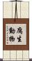 腐生動物 Scroll