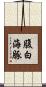 腹白海豚 Scroll