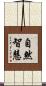 自然智慧 Scroll