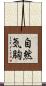自然気胸 Scroll