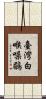 臺灣白喉噪鶥 Scroll