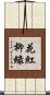 花紅柳綠 Scroll