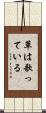 草は歌っている Scroll
