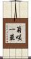 菊咲一華 Scroll