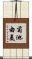 菊池由美 Scroll