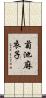 菊池麻衣子 Scroll