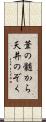 葦の髄から天井のぞく Scroll