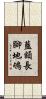 藍額長腳地鴝 Scroll